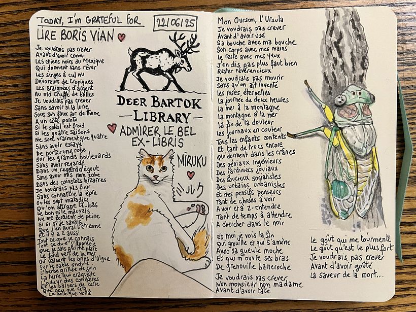 Carnet de gratitude : June 2025 sketchbook 1