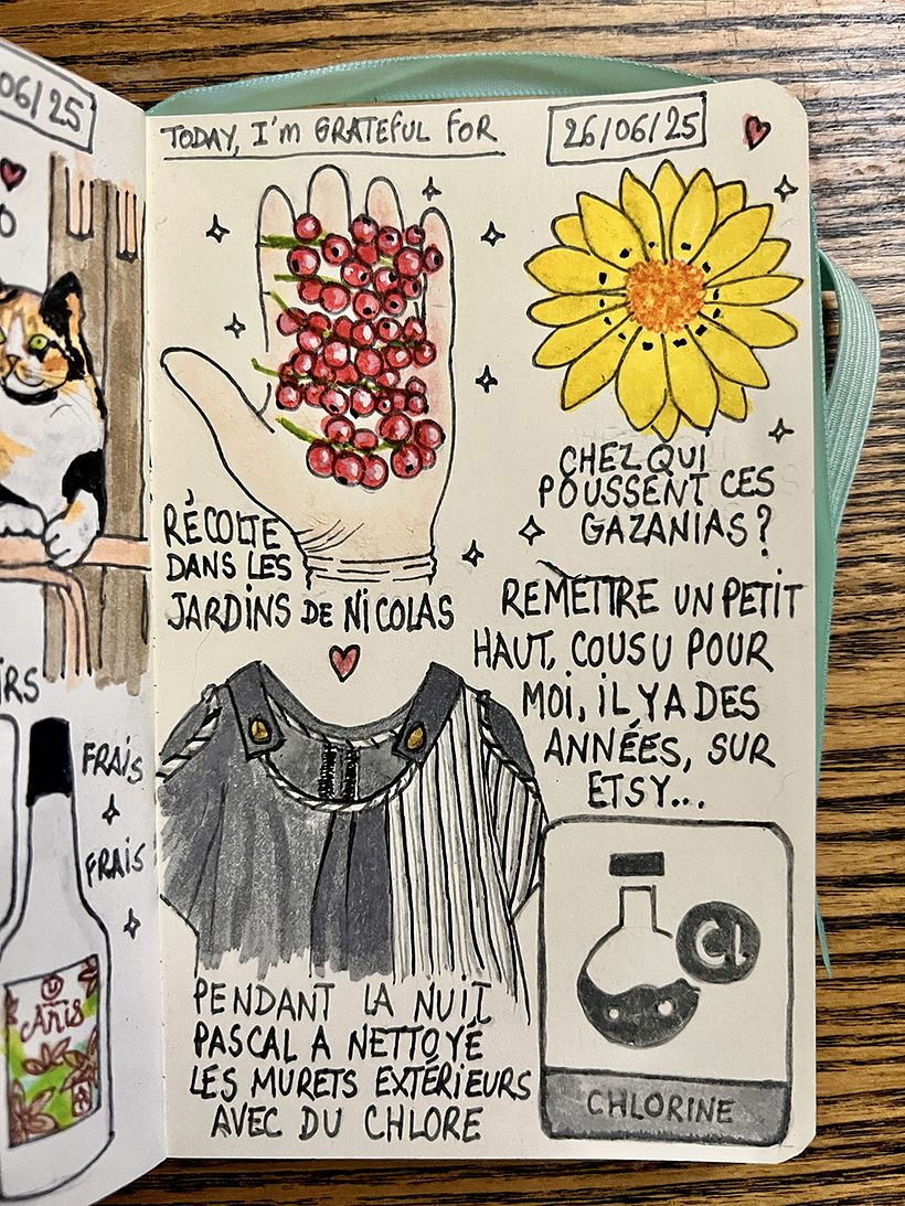 Carnet de gratitude : June 2025 sketchbook 1