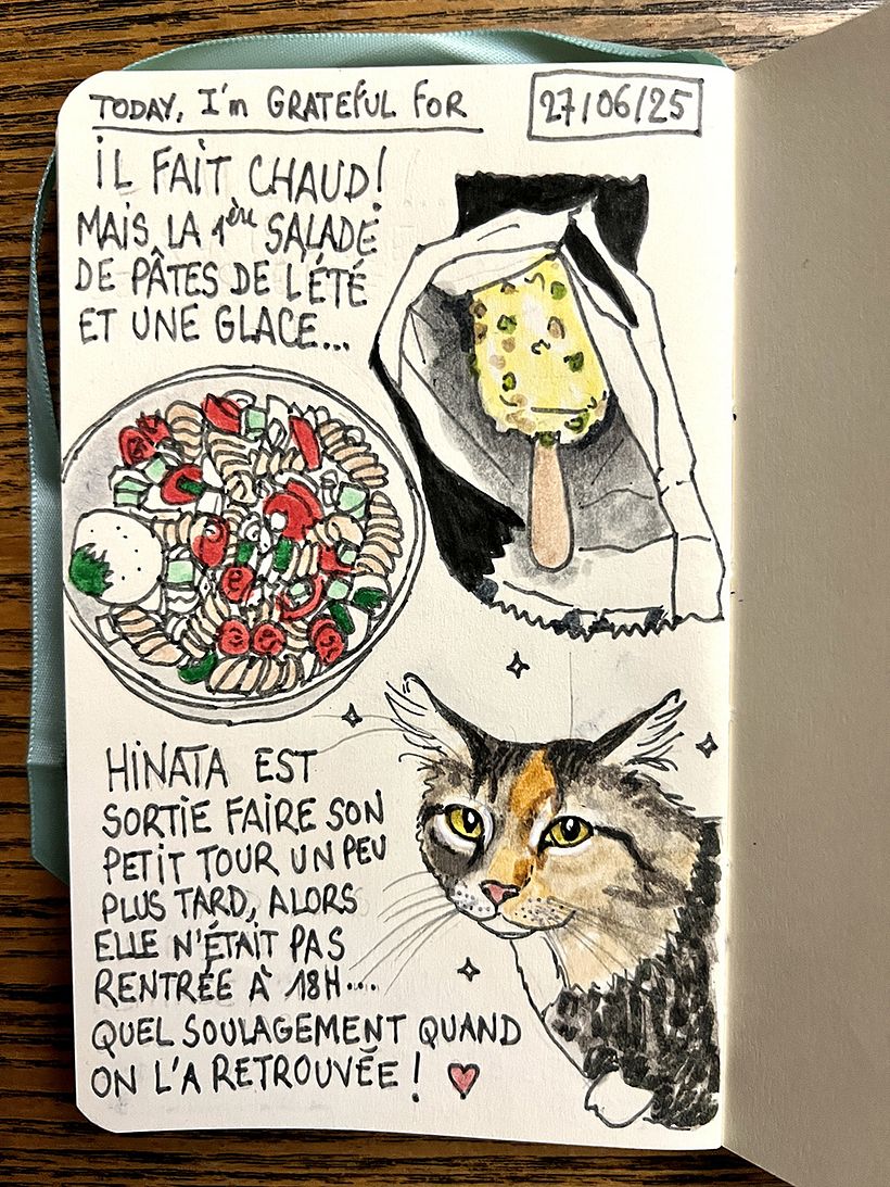 Carnet de gratitude : June 2025 sketchbook 1