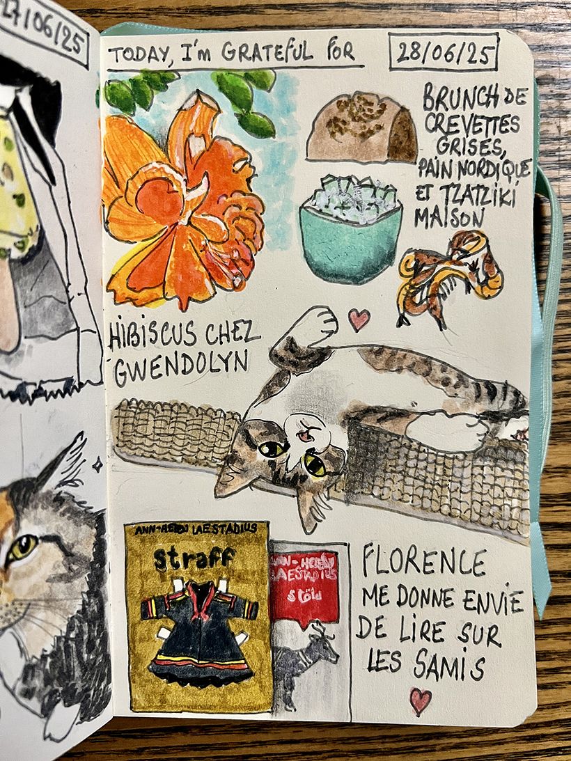 Carnet de gratitude : June 2025 sketchbook 1