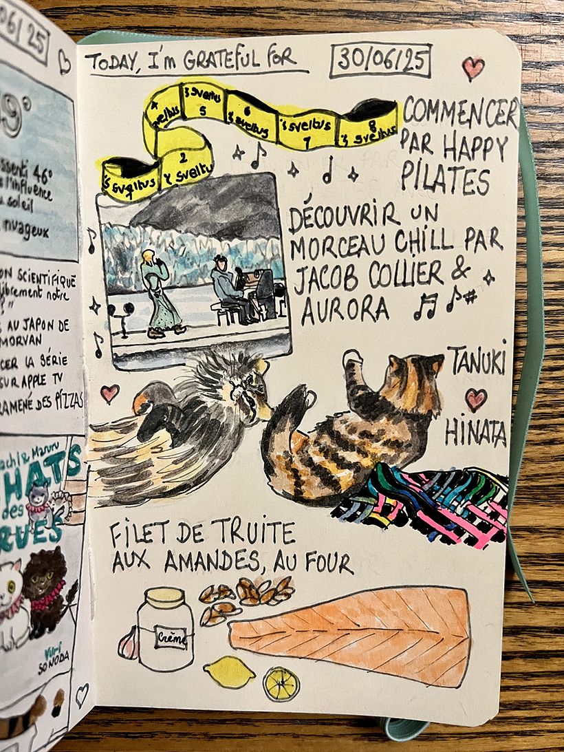 Carnet de gratitude : June 2025 sketchbook 1
