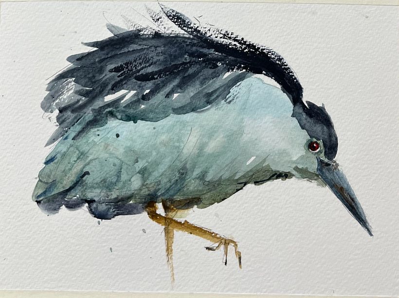 Ave proyecto final 1