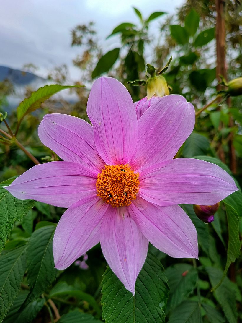 Este es mi proyecto para fotografía de paisaje con móvil 1