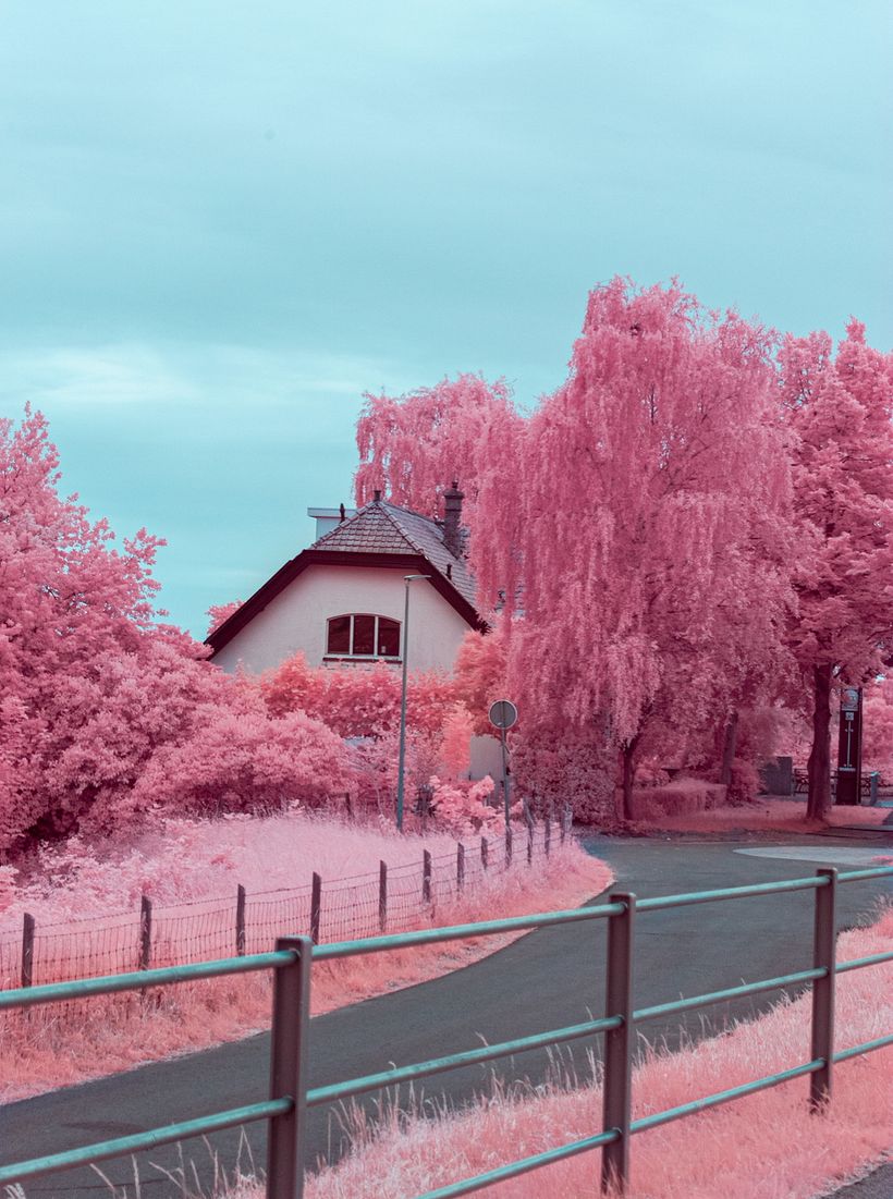 Infraroodfotografie 1