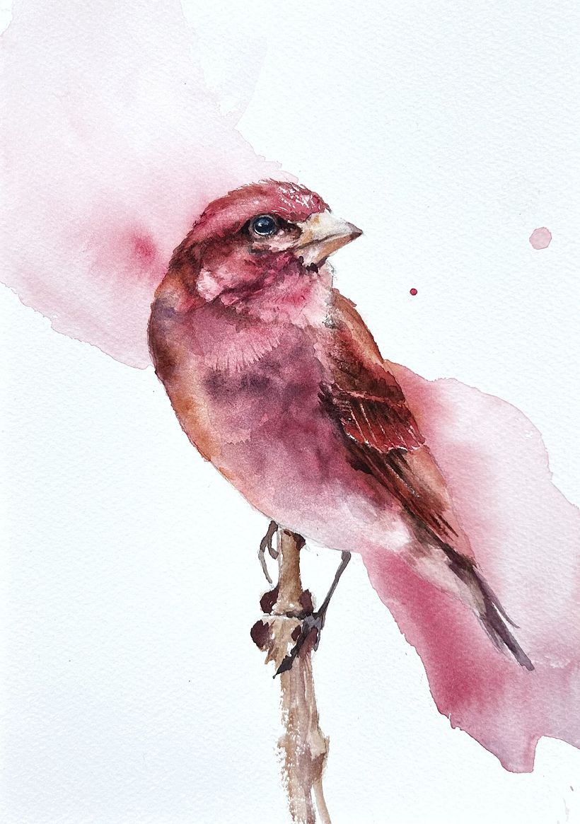 Final Project for the course Artistic Watercolor Techniques for Illustrating Birds by Sarah Stokes 1