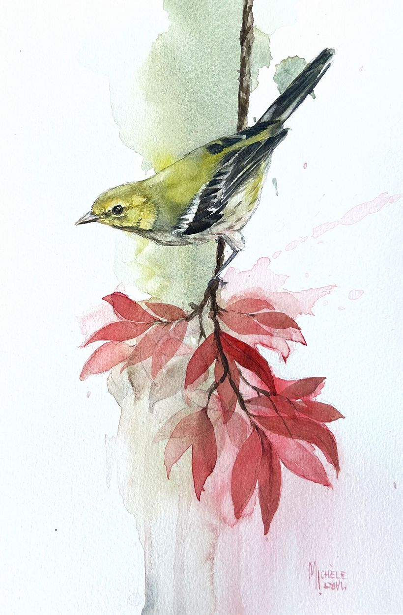 Final Project for the course Artistic Watercolor Techniques for Illustrating Birds by Sarah Stokes 1