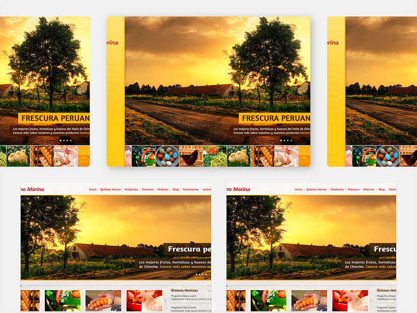 Webfolio 2K's - Diseño UX/UI 14