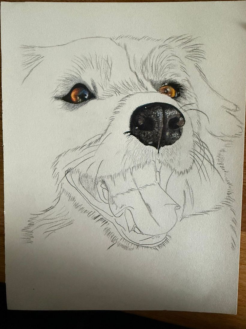First attempt at hyperrealism with colors  1