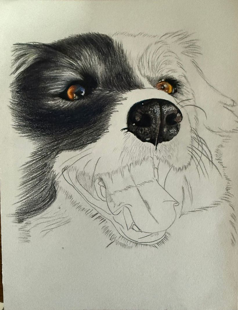 First attempt at hyperrealism with colors  1