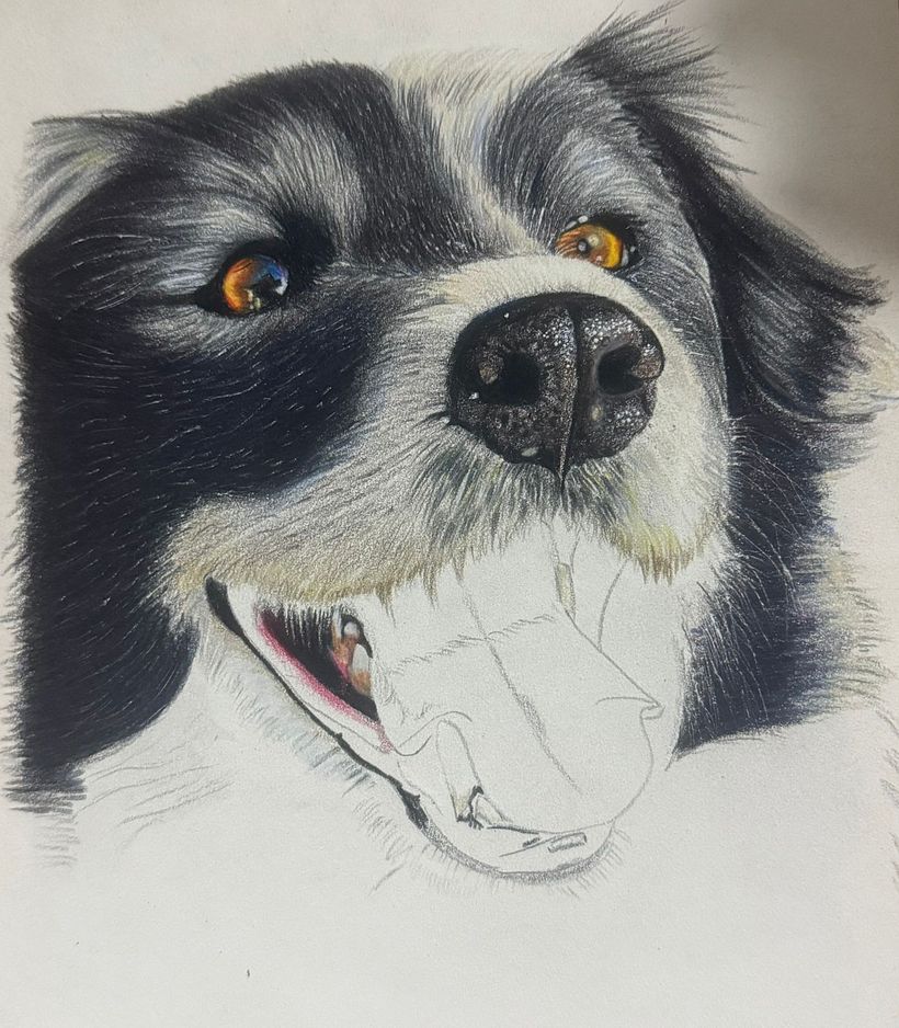 First attempt at hyperrealism with colors  1