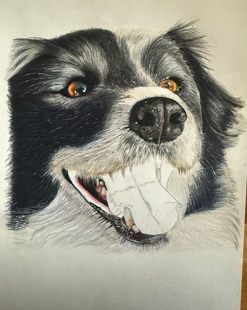 First attempt at hyperrealism with colors  2