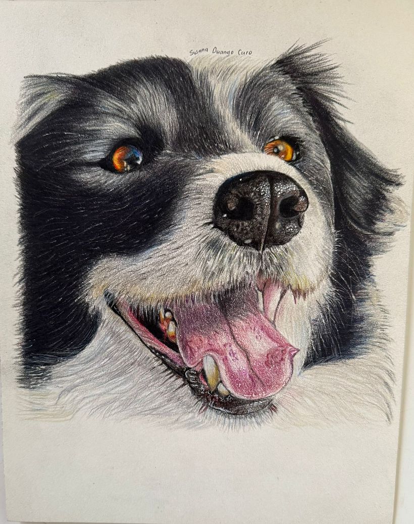 First attempt at hyperrealism with colors  1