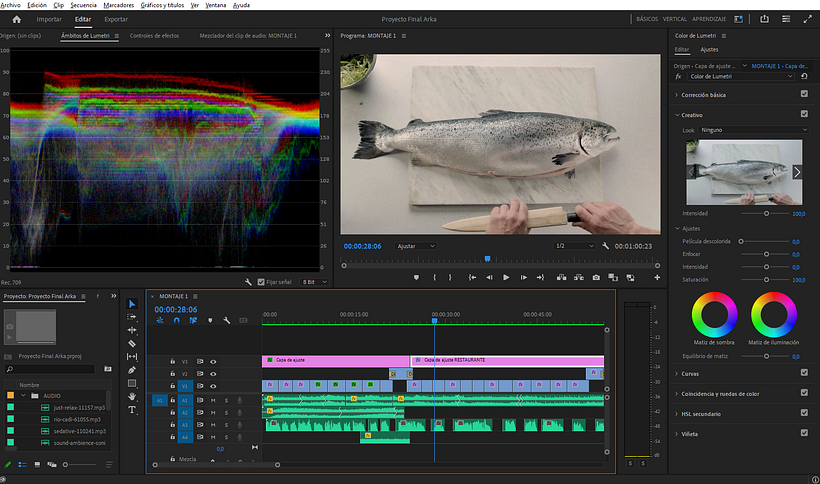 PROYECTO DE CURSO: EDICIÓN DE VIDEO CON PRIMIER PRO 3