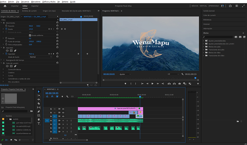 PROYECTO DE CURSO: EDICIÓN DE VIDEO CON PRIMIER PRO 4