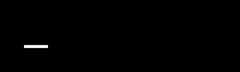 Alle Daten zerstören 2