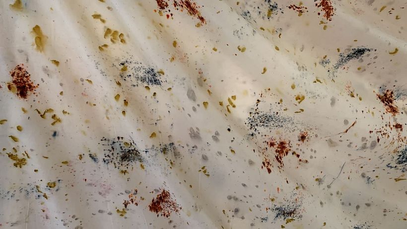 Dyeing with petals  4