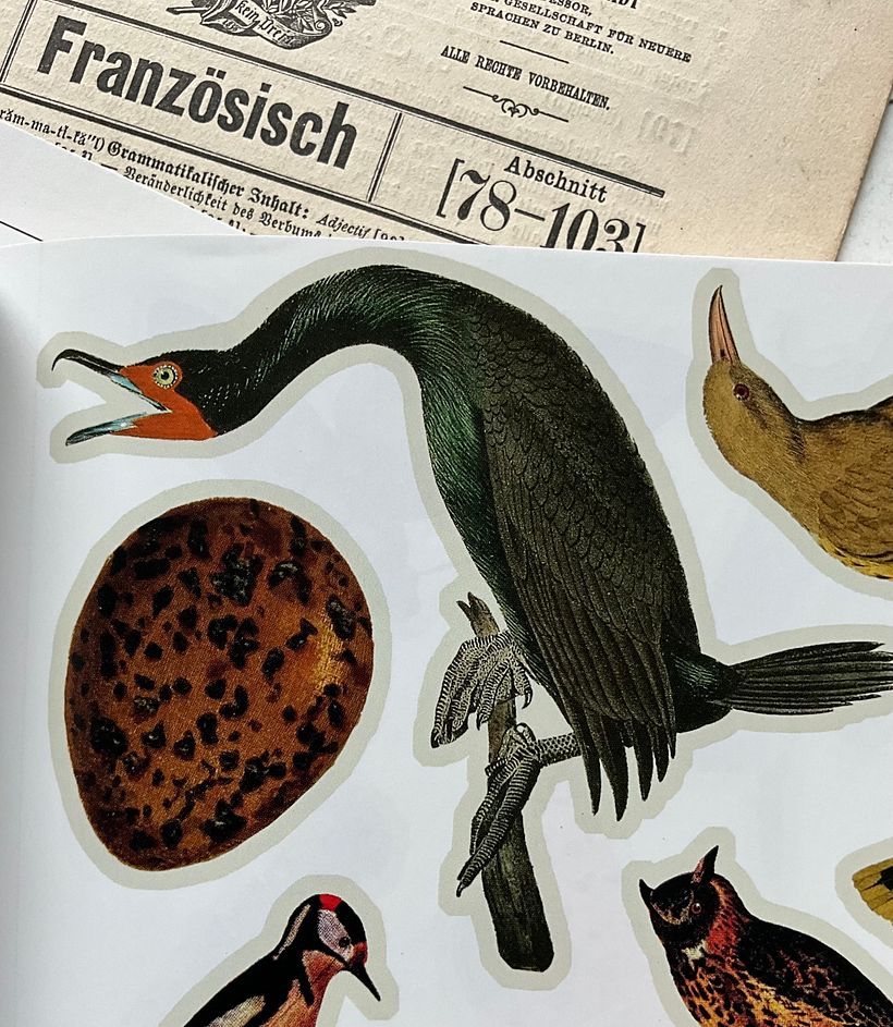 GRUSELETT / SCARIBOO 2