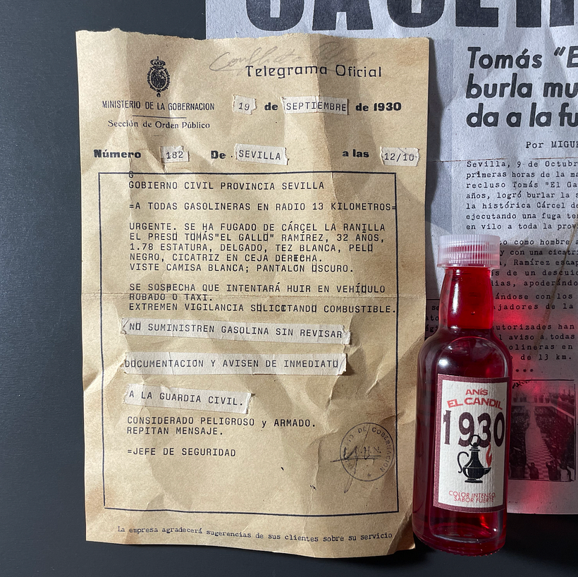 CHASSE 7