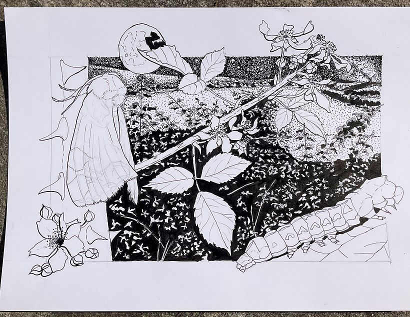 Thyatira batis L. en su entorno natural en tinta 1