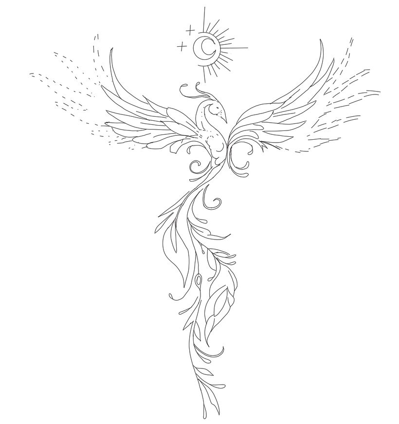 La gracia del fenix 1