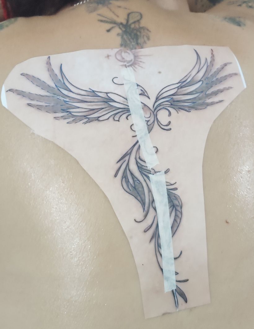 La gracia del fenix 1