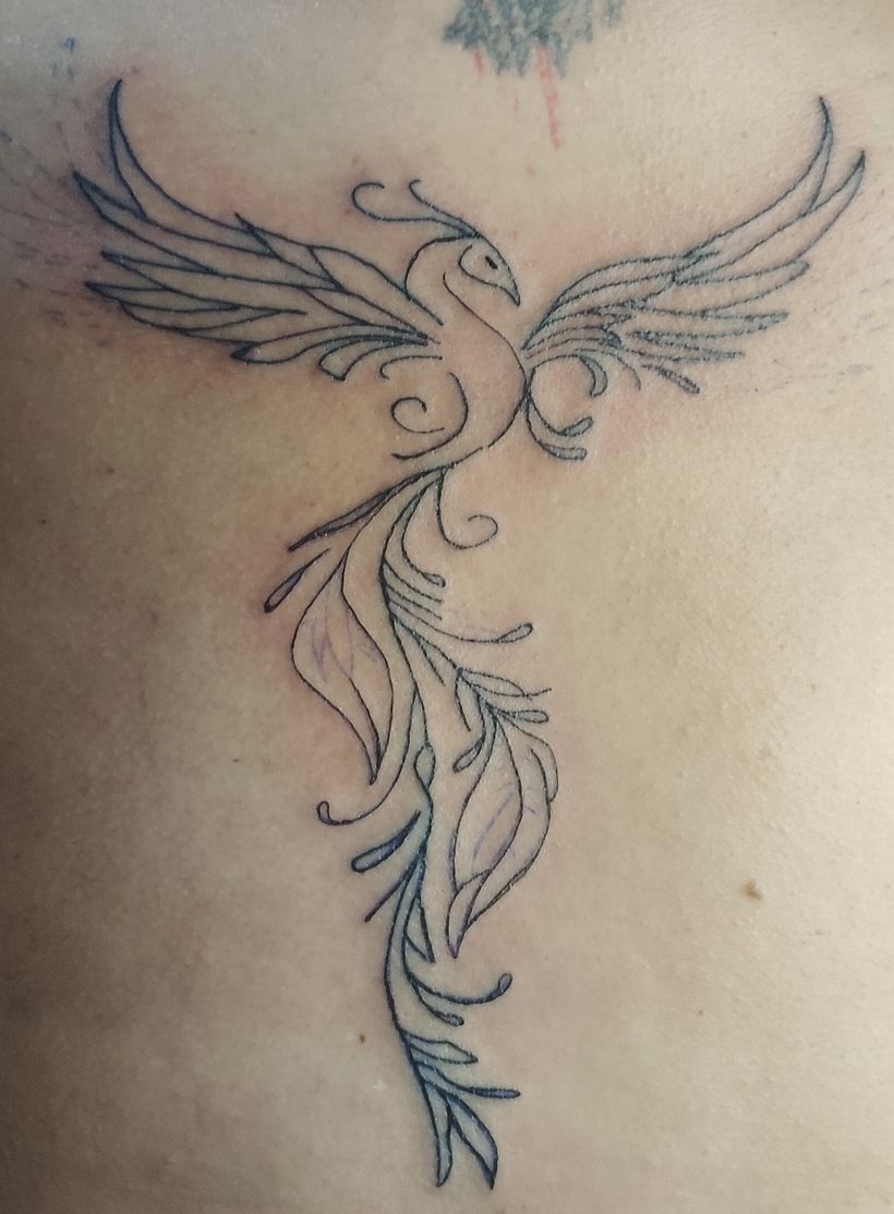 La gracia del fenix 1