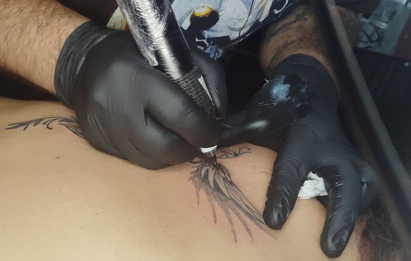 La gracia del fenix 1