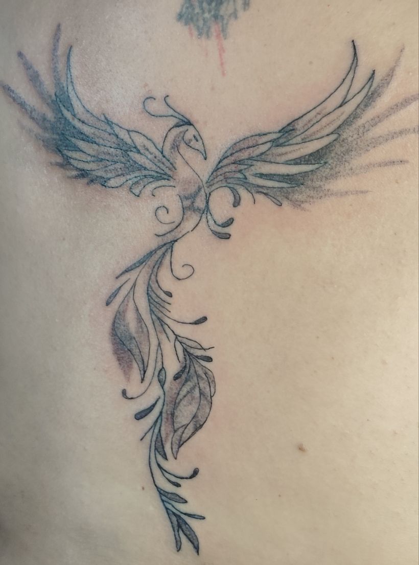 La gracia del fenix 1