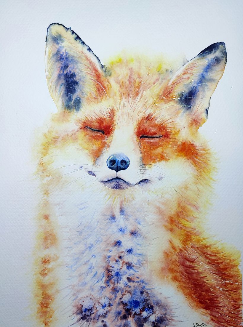 Sleeping fox 1