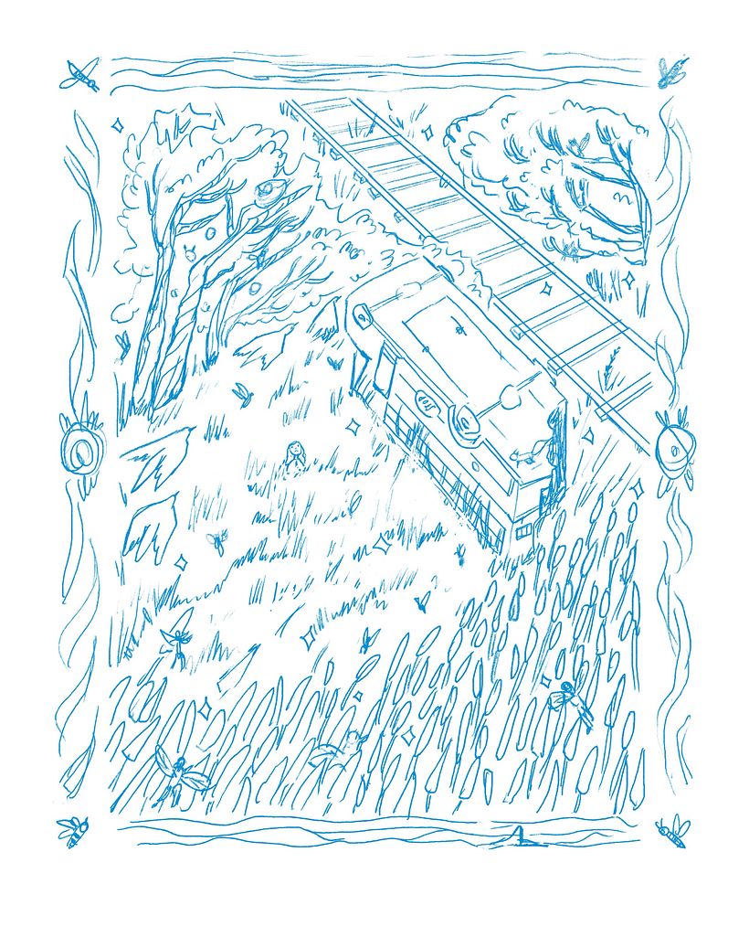 My Final project for Forest Fantasy Illustration  1