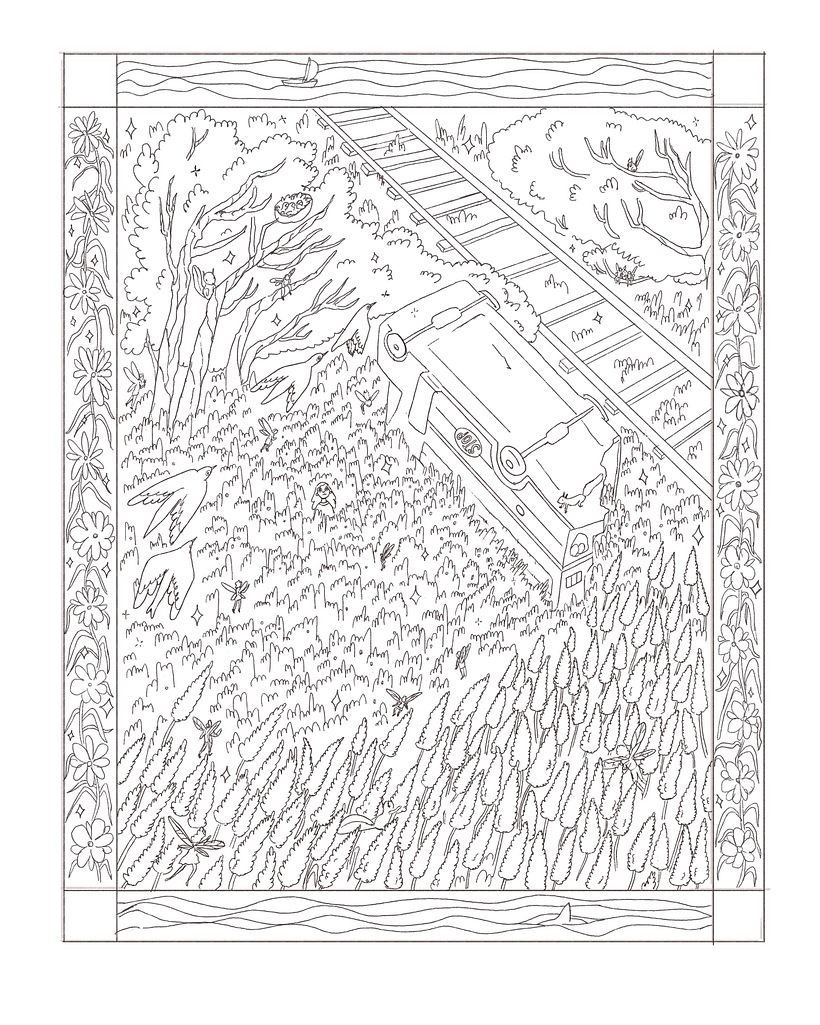 My Final project for Forest Fantasy Illustration  1