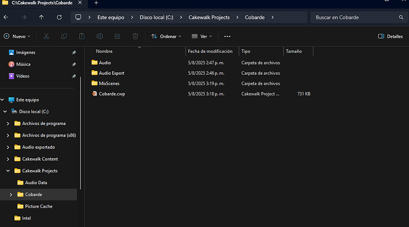 Proyecto final de mezcla 1