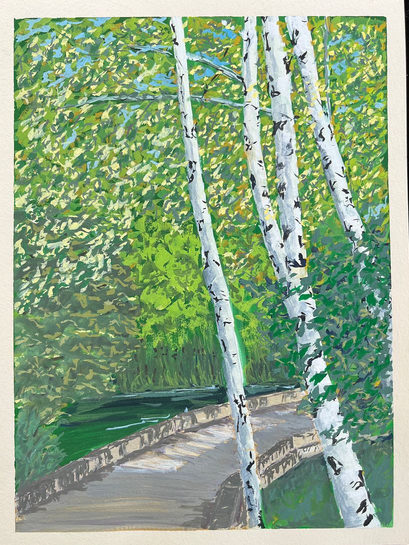 Birches over the Boardwalk 1