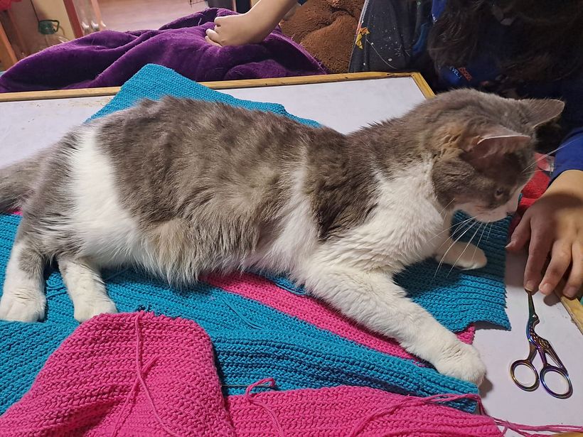 Cárdigan con mangas tipo campana 2