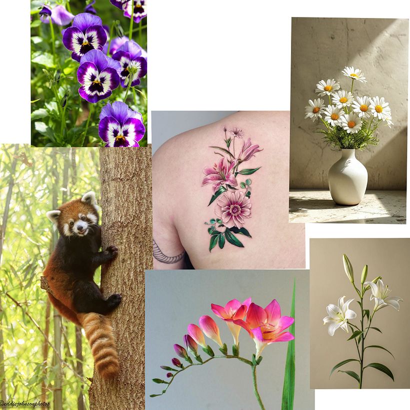 Animales y Flores 1