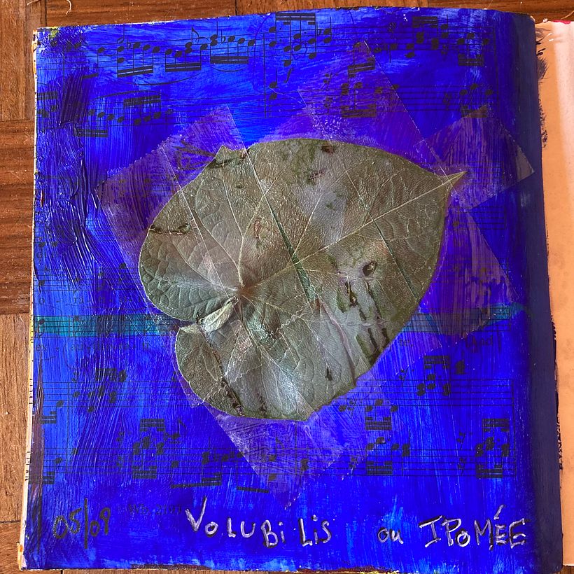 Journal de bord - août 2025 8