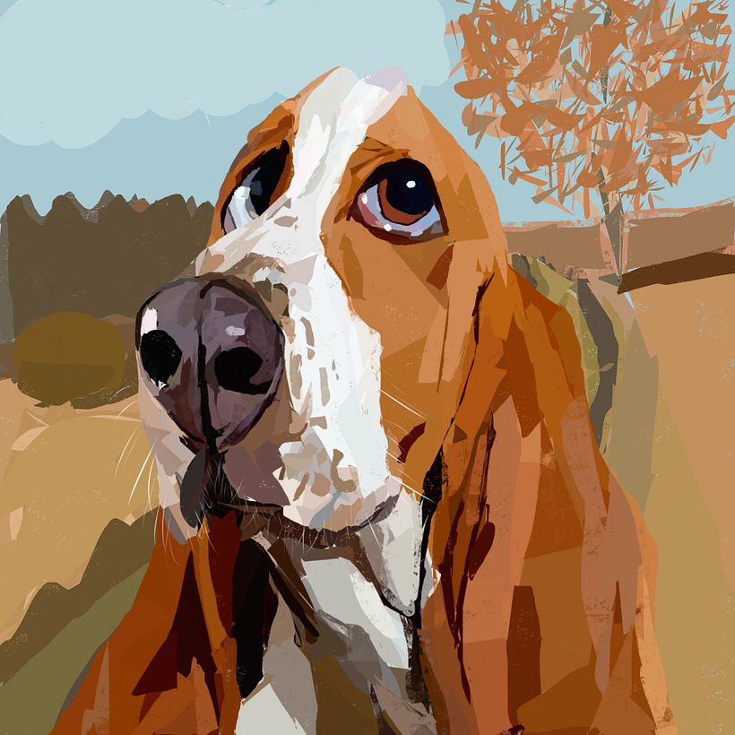 Köpek 1