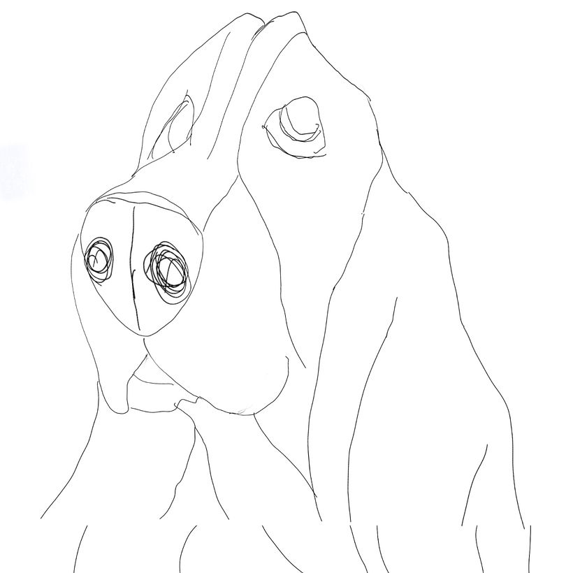 Köpek 1