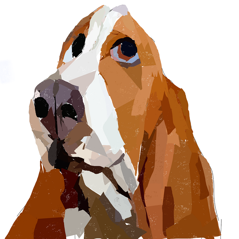 Köpek 1
