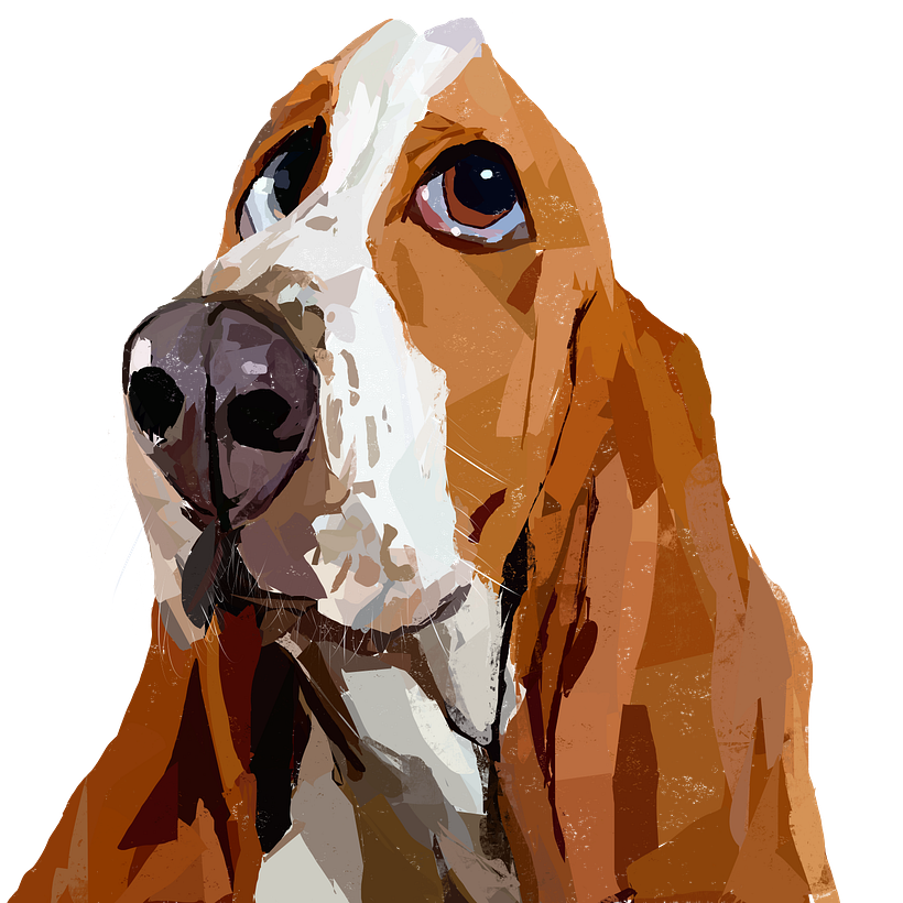 Köpek 1
