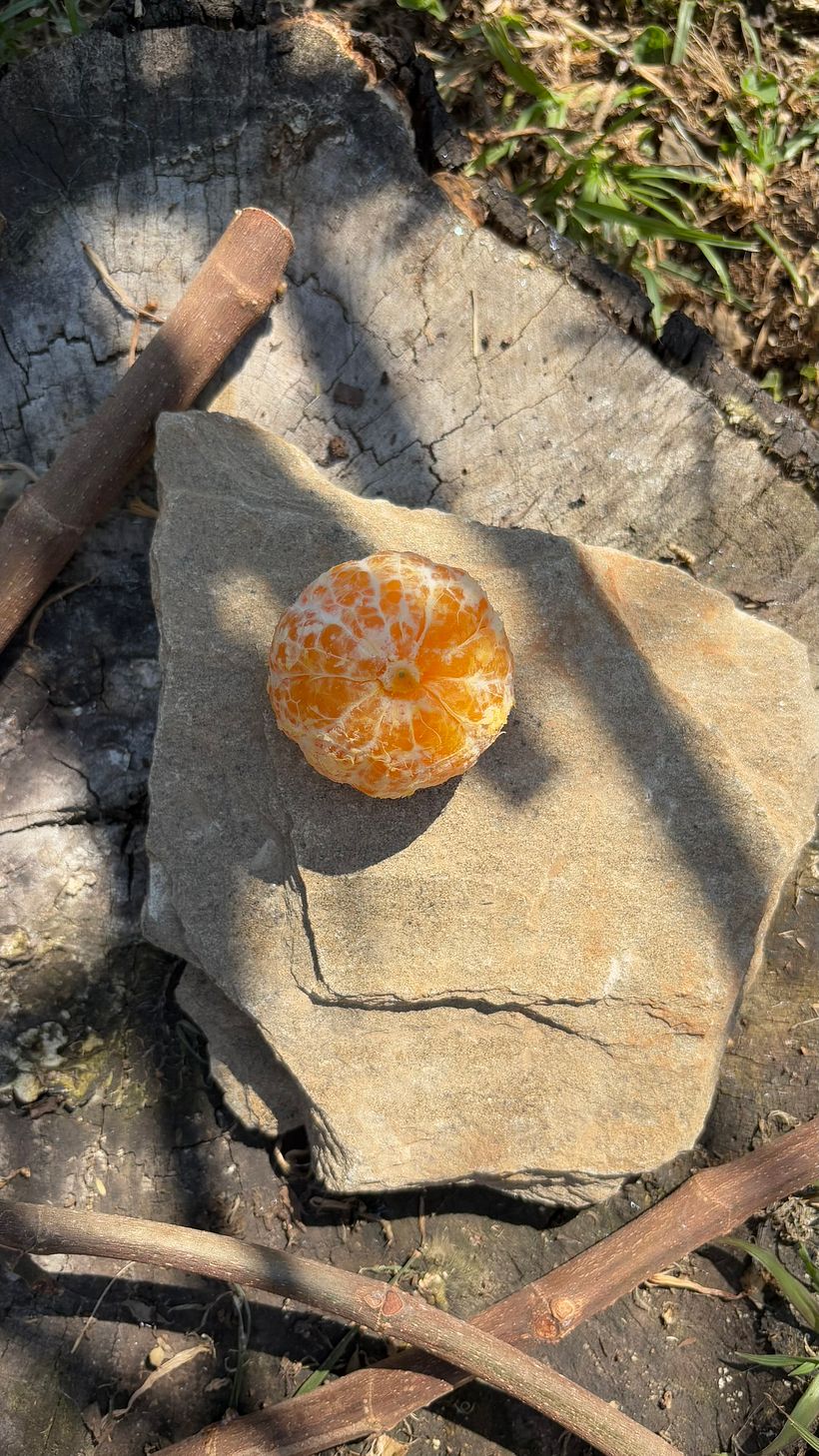 A mini orange story 1