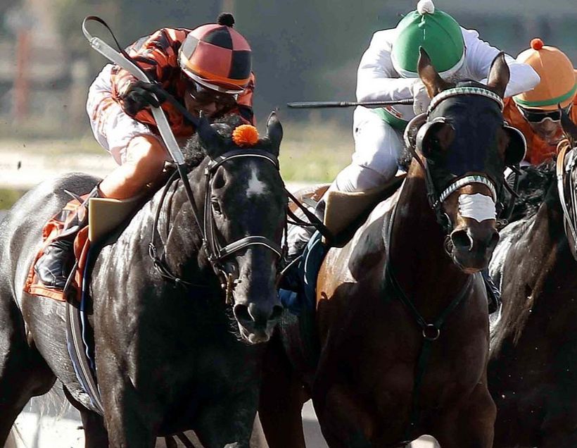 Segunda carrera. Es el segundo cuadro que realizo utilizando la técnica aprendida y sigo ahondando en el mundo de la hipica 1