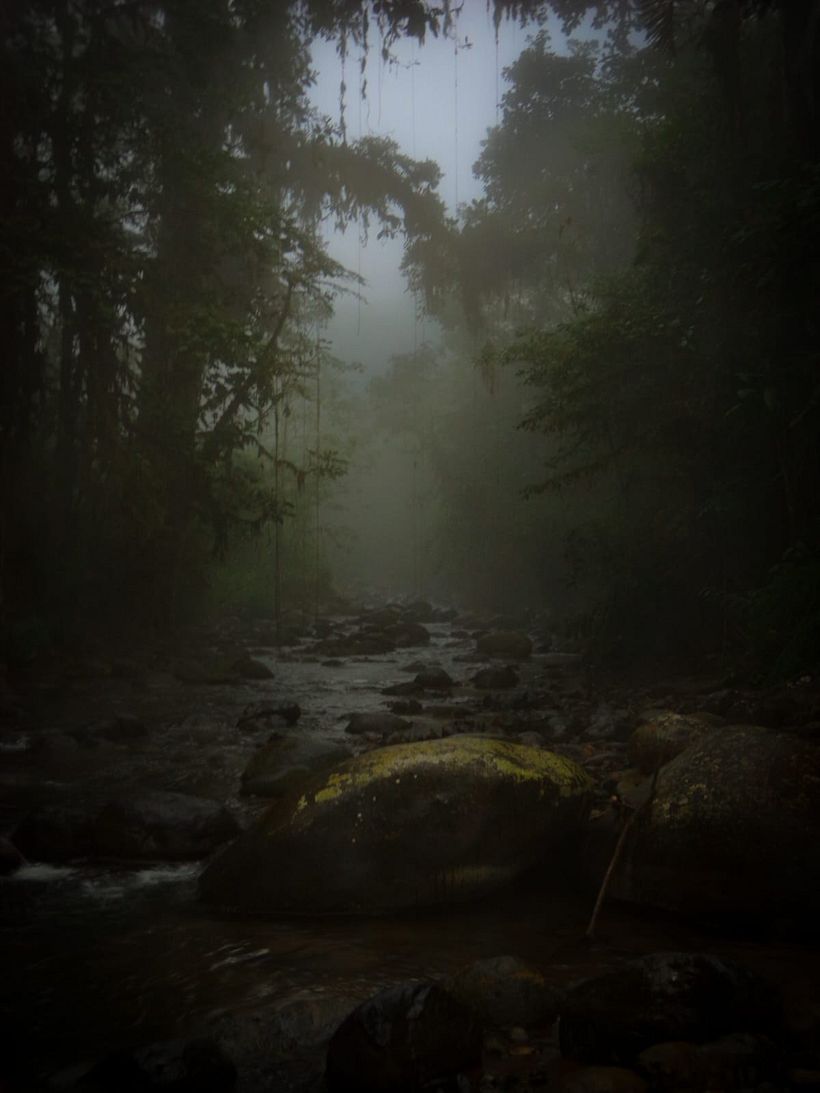 Proyecto Josué Castillo  1