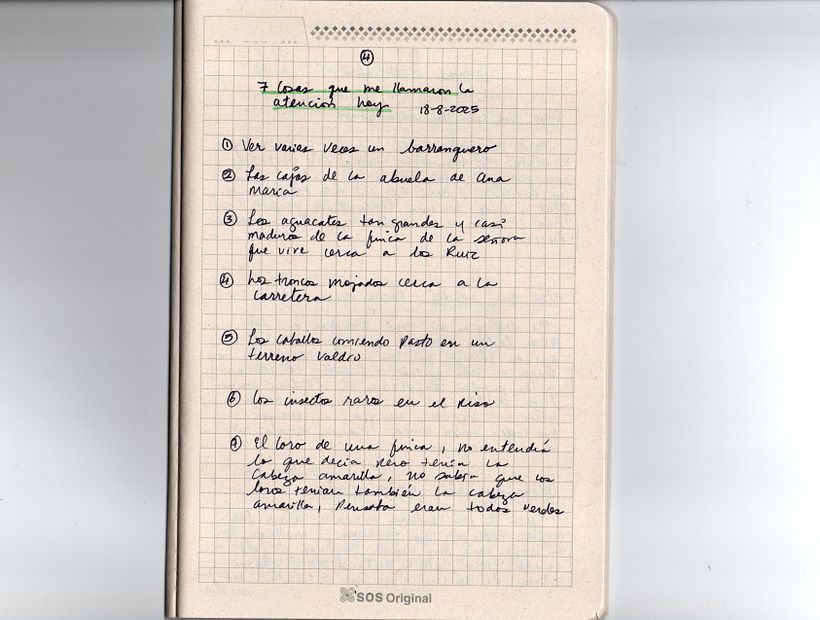 Mi proyecto final: Gimnasio de escritura: de la hoja en blanco a la práctica cotidiana 1