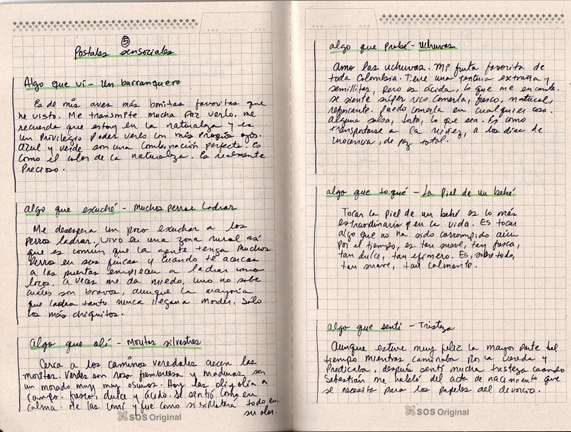 Mi proyecto final: Gimnasio de escritura: de la hoja en blanco a la práctica cotidiana 2