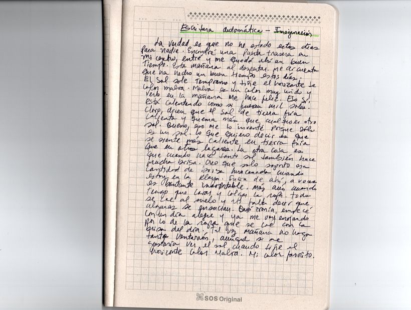 Mi proyecto final: Escritura de una novela paso a paso 1