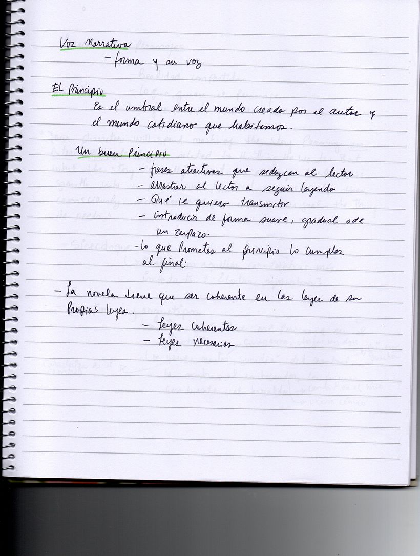 Mi proyecto final: Escritura de una novela paso a paso 1