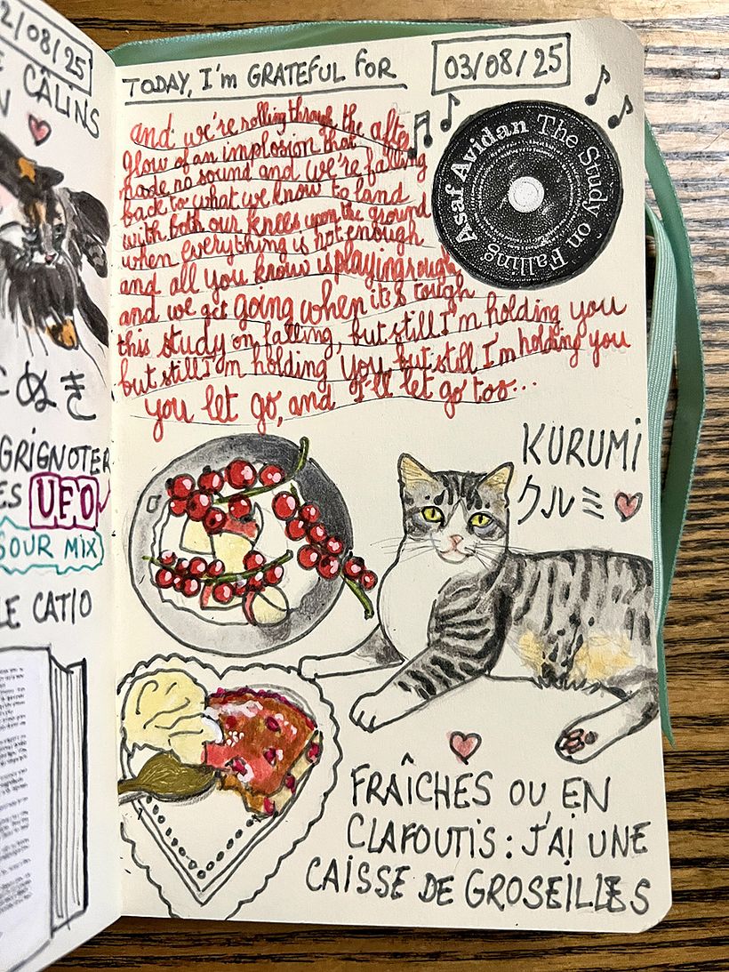 Diario de gratitud: agosto de 2025 1