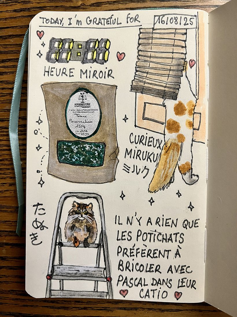 Diario de gratitud: agosto de 2025 1
