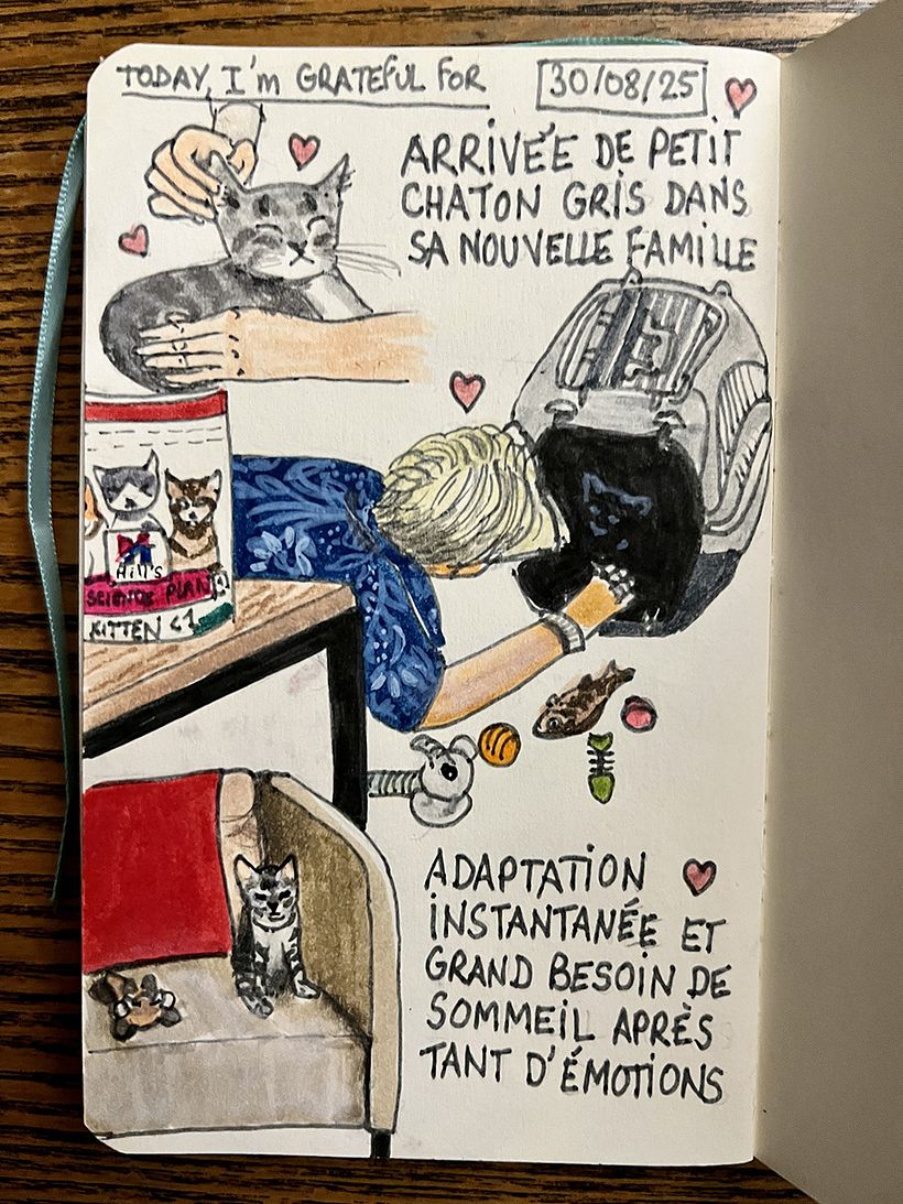 Diario de gratitud: agosto de 2025 1